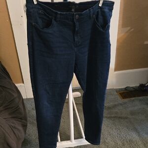 Talbots Womens Dark Blue Skinny Jeans